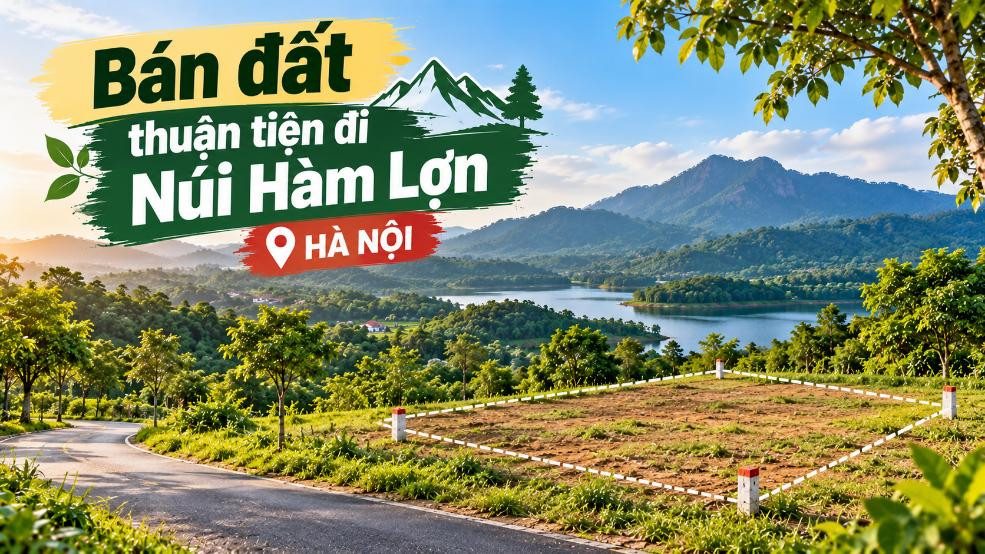Bán đất Kim Anh thuận tiện đi Núi Hàm Lợn, phù hợp đầu tư